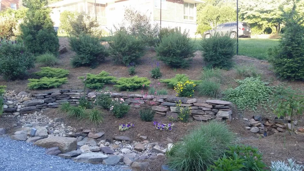 Expert lawn care service for residential properties in Lynchburg, VA by BRS Landscape & Design Services