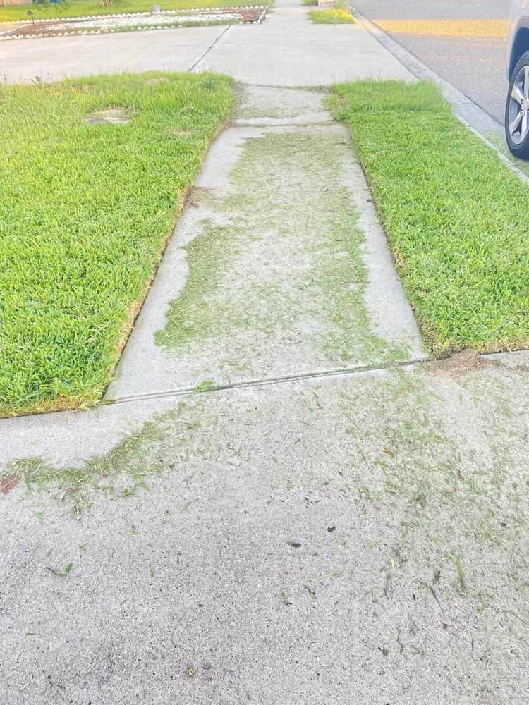 Reliable yard cleanup service experts serving Mission, TX - BR’s Lawnmowing Services