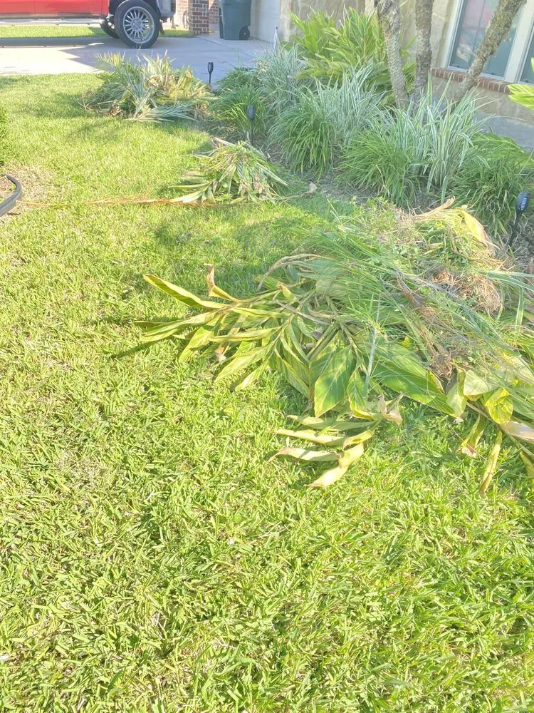 Professional yard maintenance experts serving Mission, TX - BR’s Lawnmowing Services