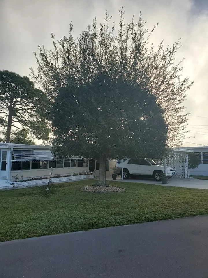 Custom yard cleanup service in North Port, FL by BR's Quality Tree & Landscaping Service
