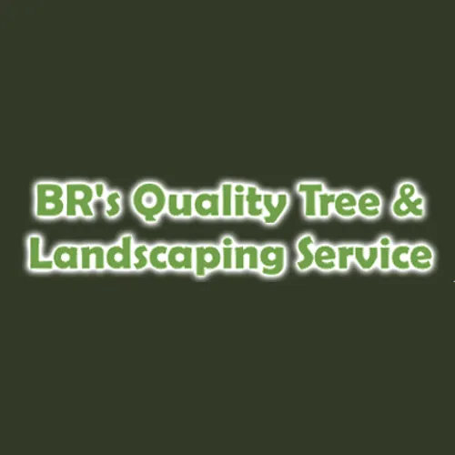 Custom outdoor landscaping experts serving North Port, FL - BR's Quality Tree & Landscaping Service