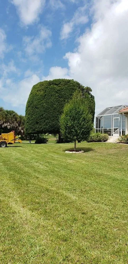 Local landscape installation for year-round maintenance across North Port, FL - BR's Quality Tree & Landscaping Service