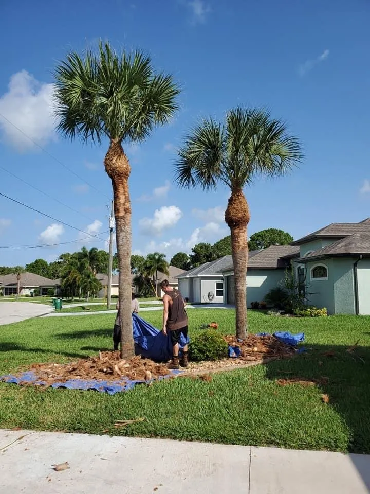 Local yard cleanup service with custom design across North Port, FL - BR's Quality Tree & Landscaping Service