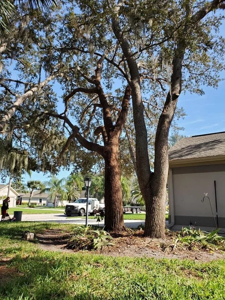 Expert yard maintenance for residential properties across North Port, FL - BR's Quality Tree & Landscaping Service
