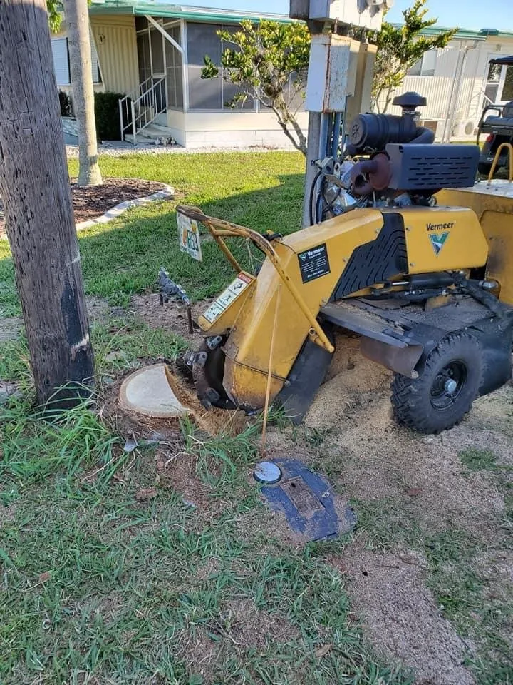 Top-rated landscaping services in North Port, FL by BR's Quality Tree & Landscaping Service