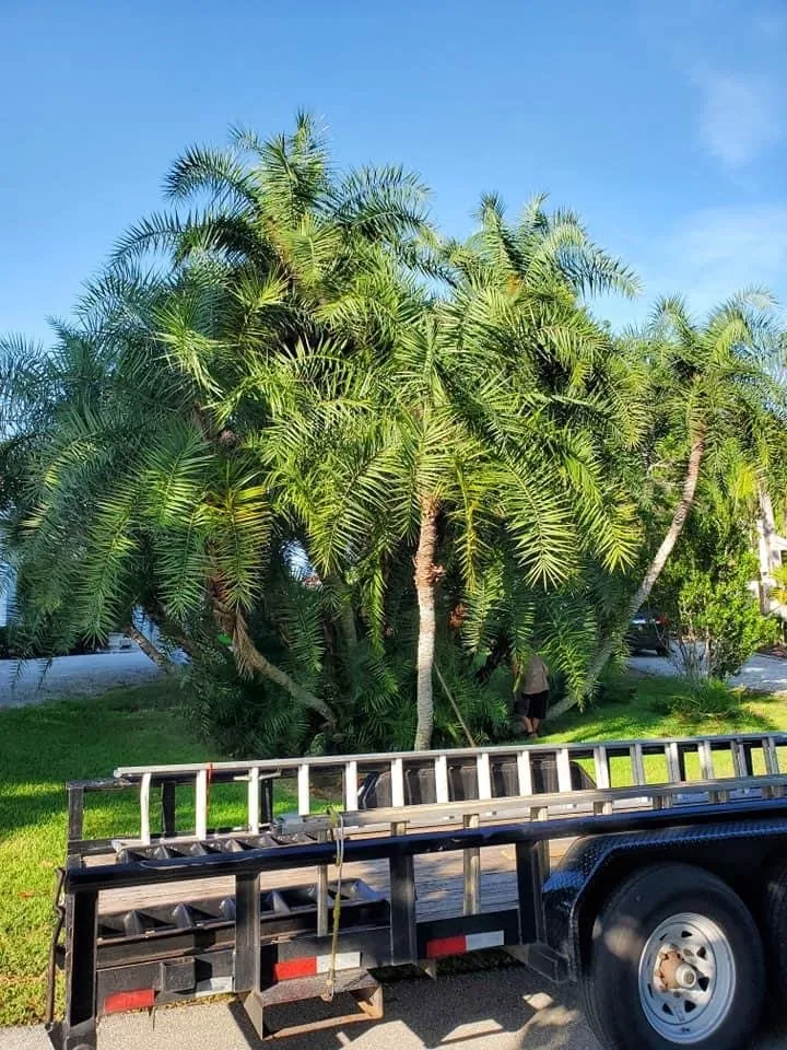 Trusted lawn mowing service for year-round maintenance across North Port, FL - BR's Quality Tree & Landscaping Service