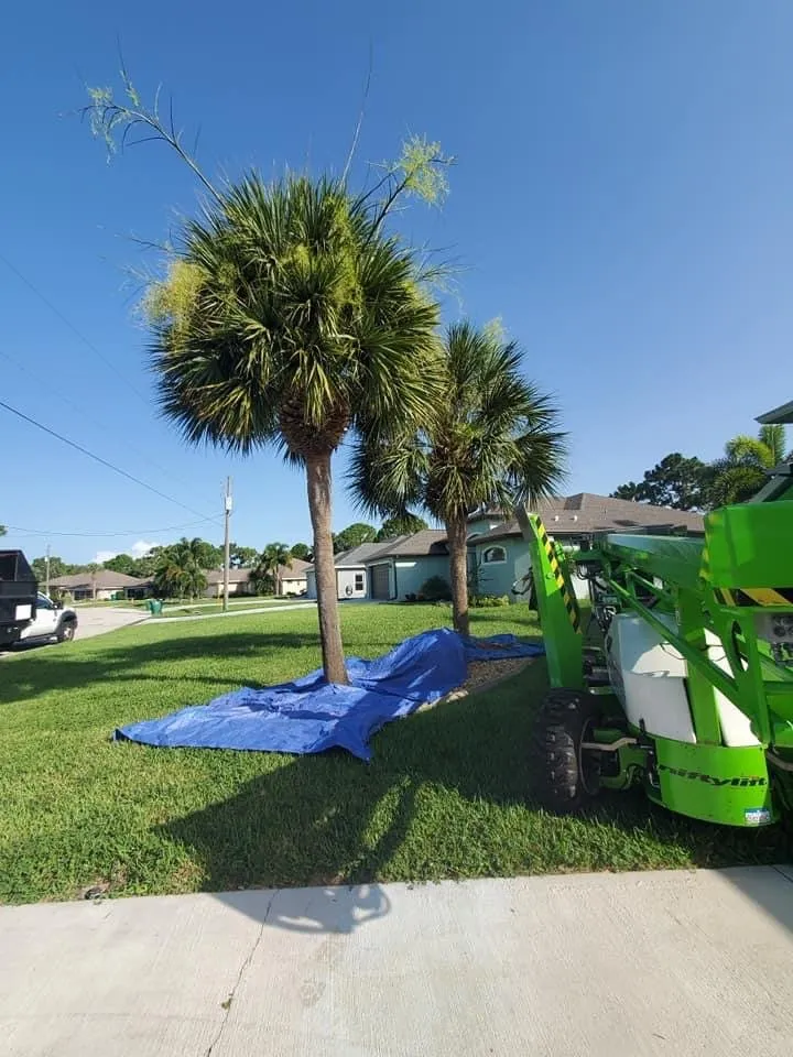 Top-rated landscape design in North Port, FL - BR's Quality Tree & Landscaping Service