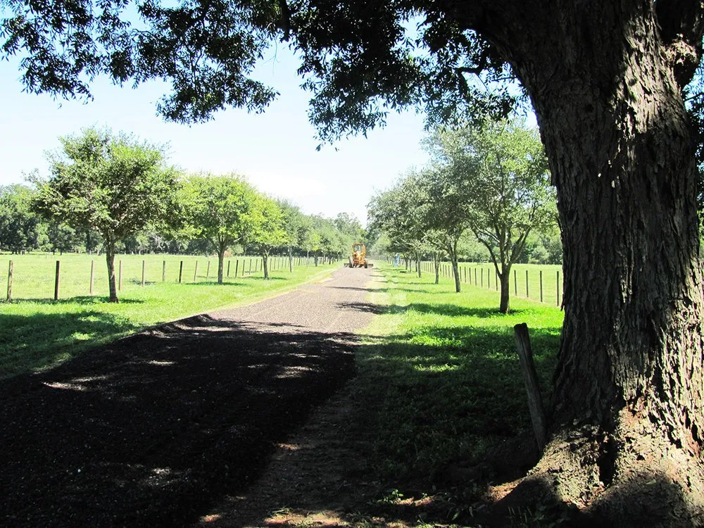Top-rated landscape design in Pattison, TX by Brubaker Construction & Oilfield Services