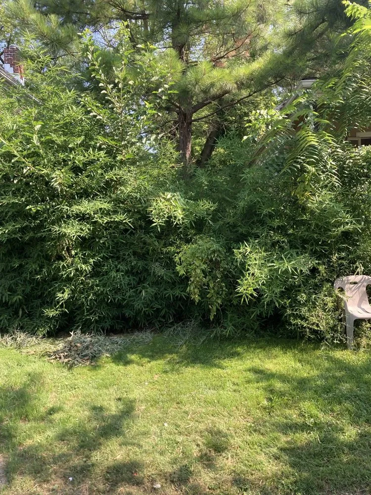 Affordable landscaping services for beautiful yards across Elyria, OH - Bruce Jr