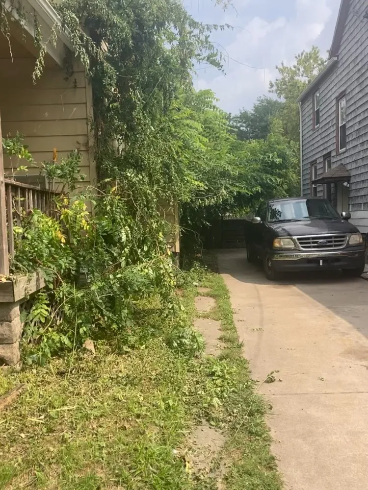 Reliable yard cleanup service for homes across Elyria, OH - Bruce Jr