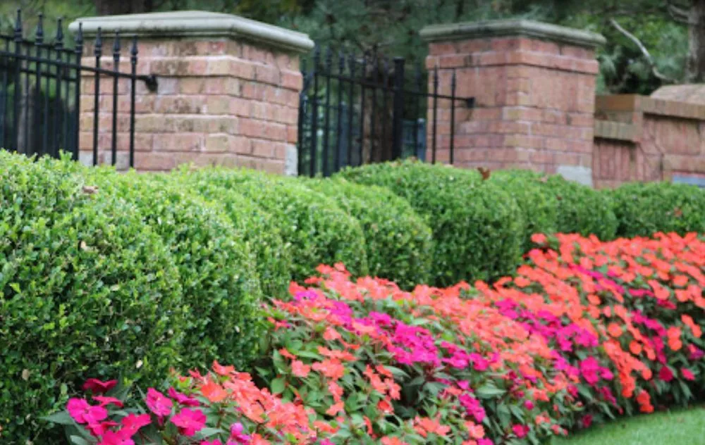 Professional landscape installation in Roseville, CA - Bruce Landscaping