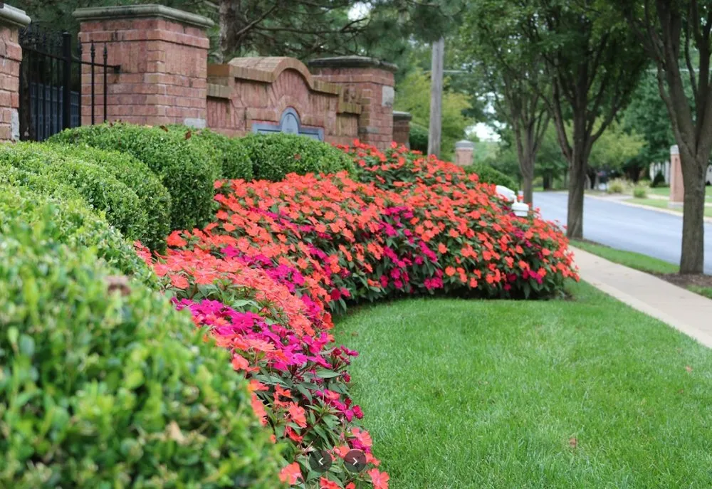 Top-rated landscaping services in Roseville, CA - Bruce Landscaping