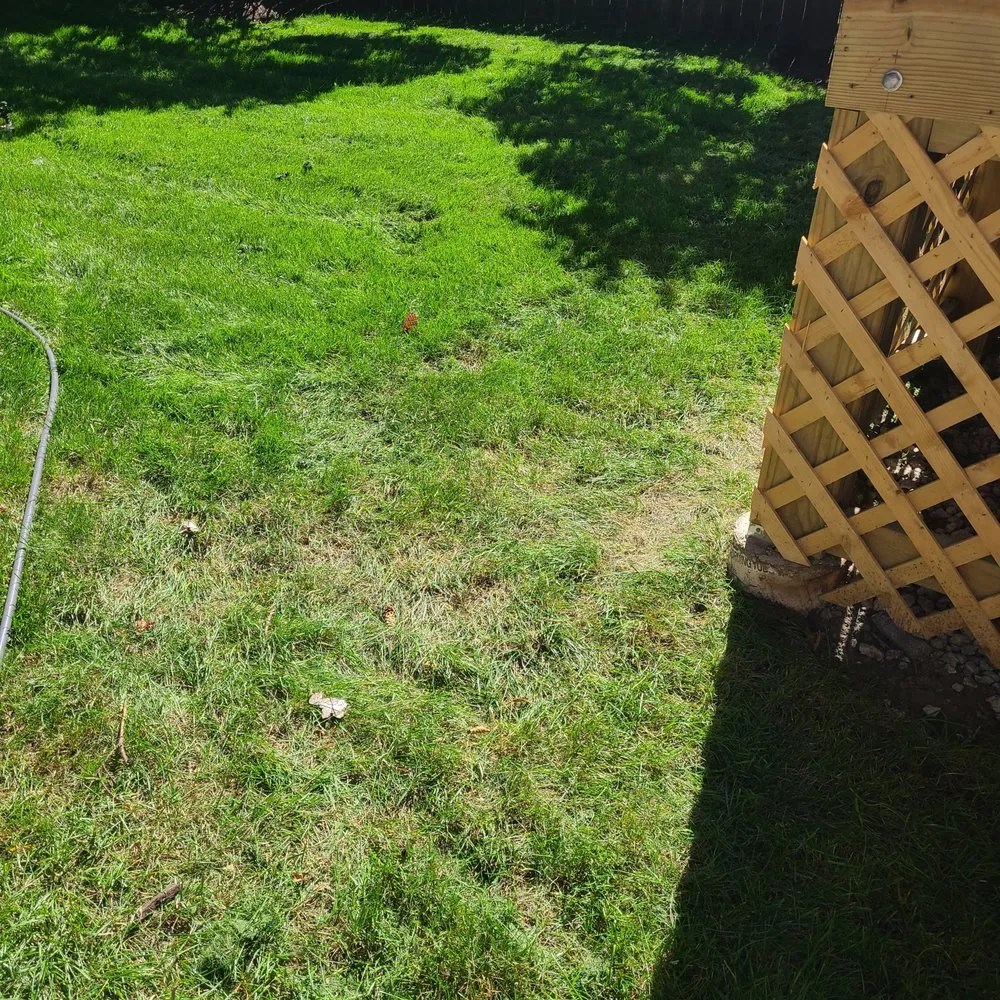 Expert landscaping services experts serving Forest Park, IL - Bruce Lawn Service