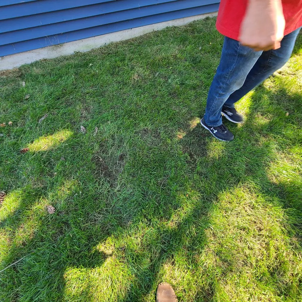 Reliable yard maintenance in Forest Park, IL - Bruce Lawn Service