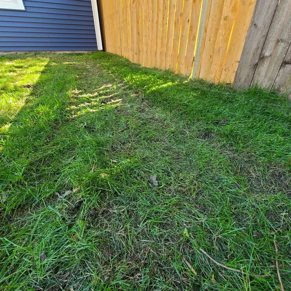 Top-rated yard cleanup service experts serving Forest Park, IL - Bruce Lawn Service