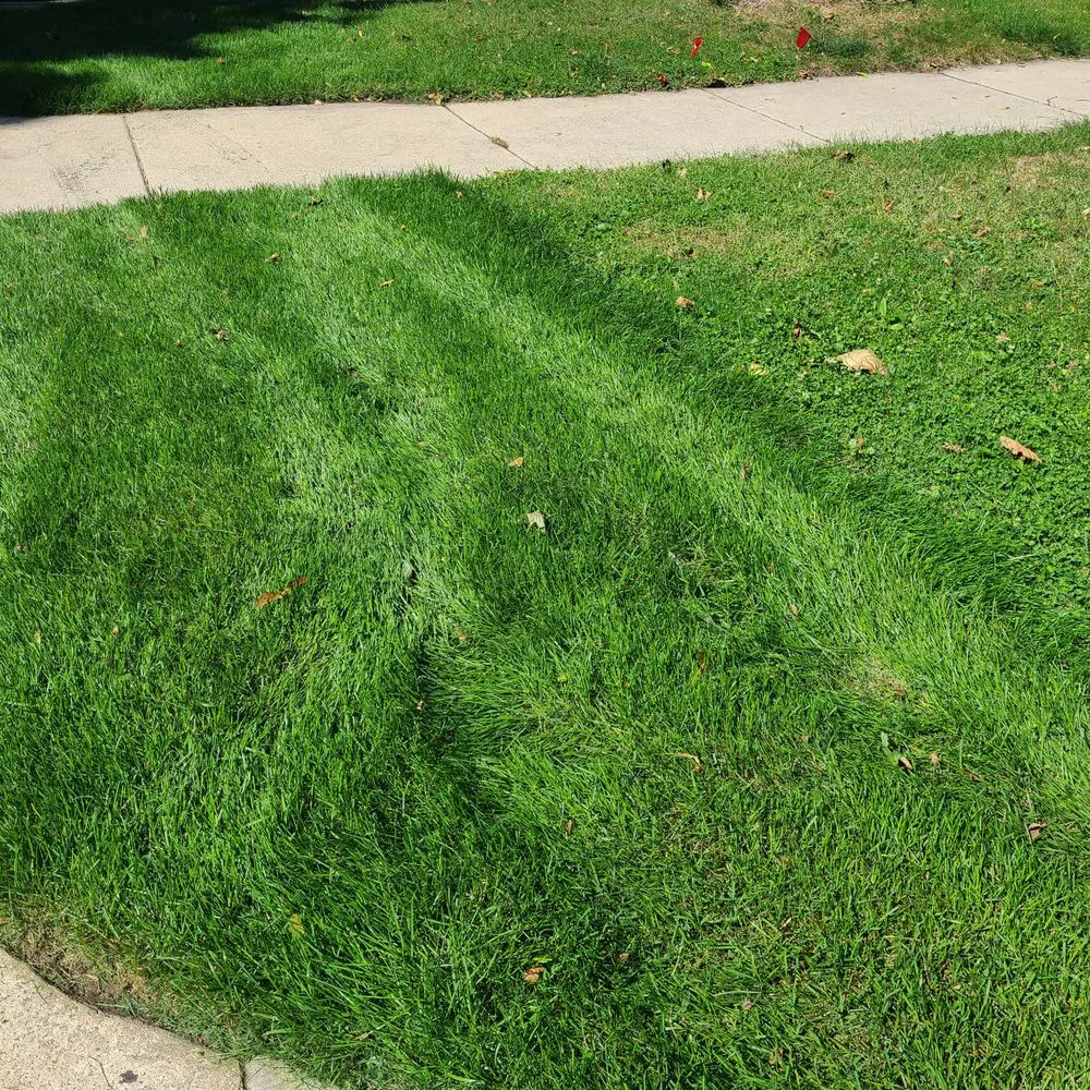 Trusted landscape design near you in Forest Park, IL by Bruce Lawn Service