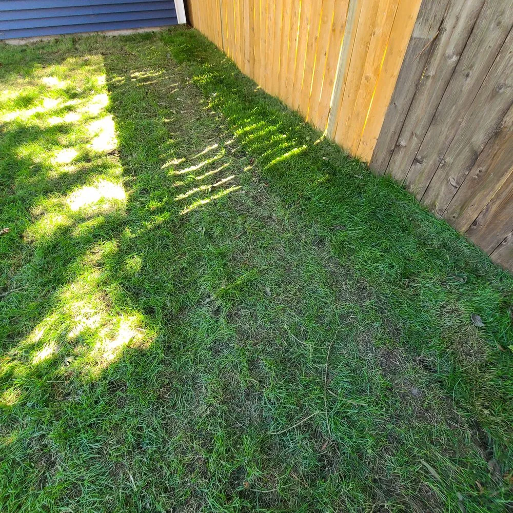 Top-rated landscape installation for residential properties across Forest Park, IL - Bruce Lawn Service