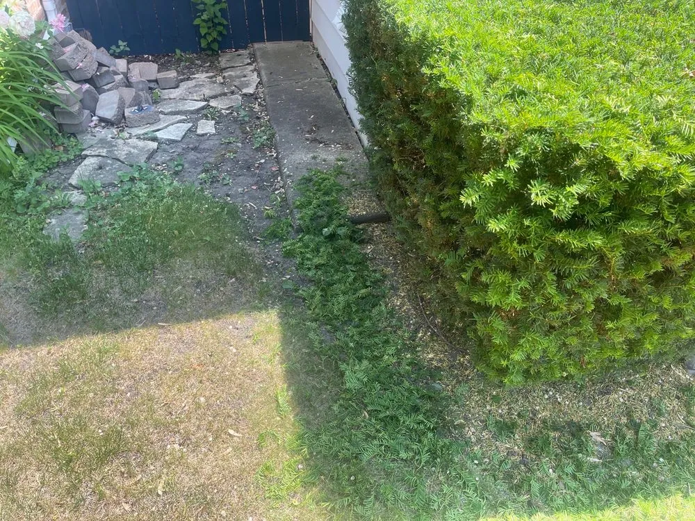 Affordable garden landscaping experts serving Forest Park, IL - Bruce Lawn Service