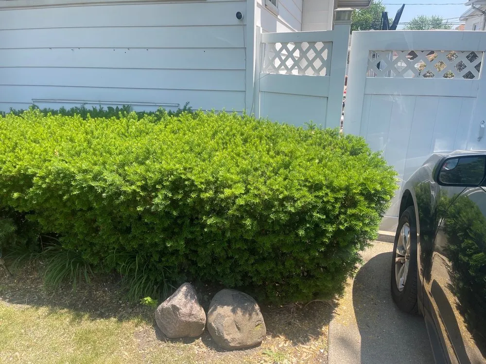 Top-rated residential landscaping in Forest Park, IL - Bruce Lawn Service