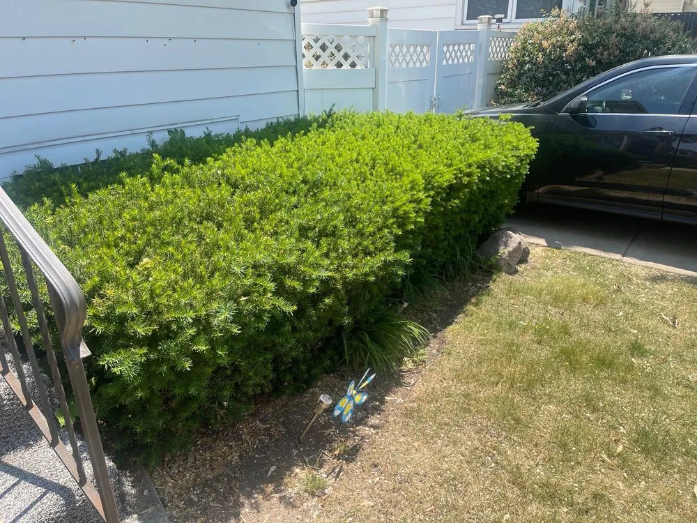 Top-rated garden landscaping in Forest Park, IL - Bruce Lawn Service