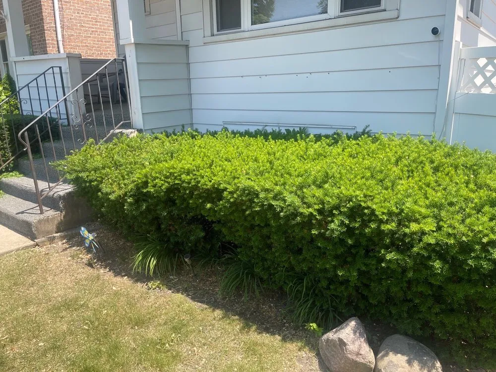 Affordable outdoor landscaping experts serving Forest Park, IL - Bruce Lawn Service