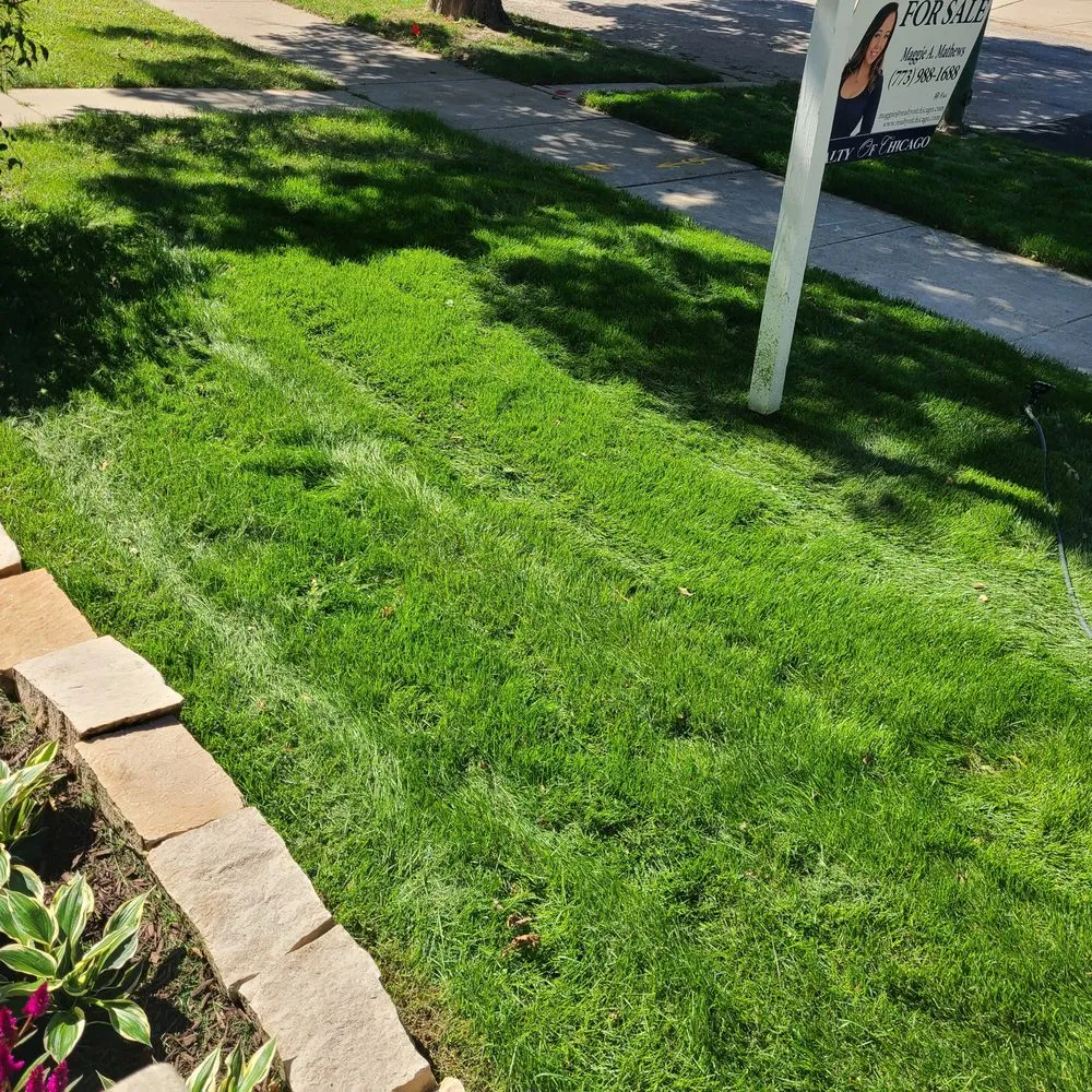 Expert residential landscaping near you across Forest Park, IL - Bruce Lawn Service