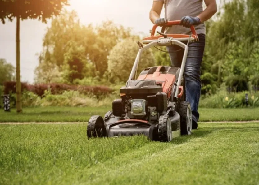 Trusted landscape installation for year-round maintenance across Marrero, LA - Bruce Lawncare