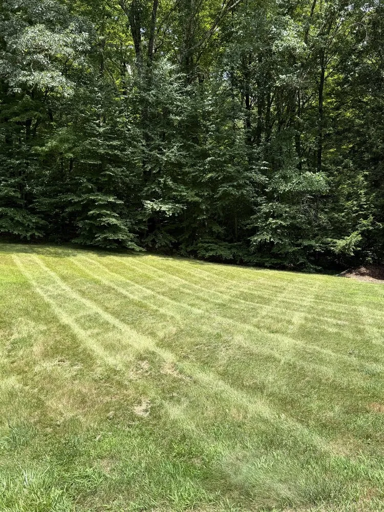 Expert lawn care service for homes in Hinsdale, NH by Bruces Property Services