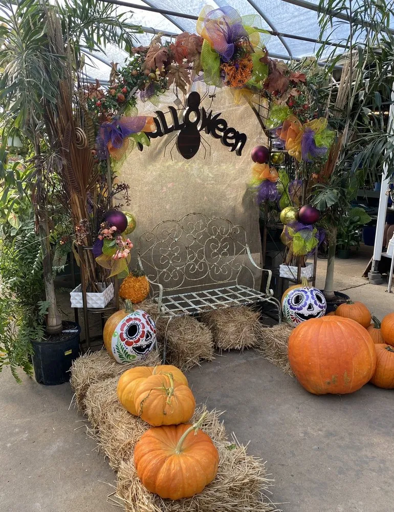 Affordable lawn care service in Dallas, TX - Brumley Gardens