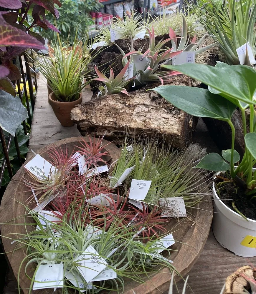 Expert landscape installation for outdoor upgrades across Dallas, TX - Brumley Gardens