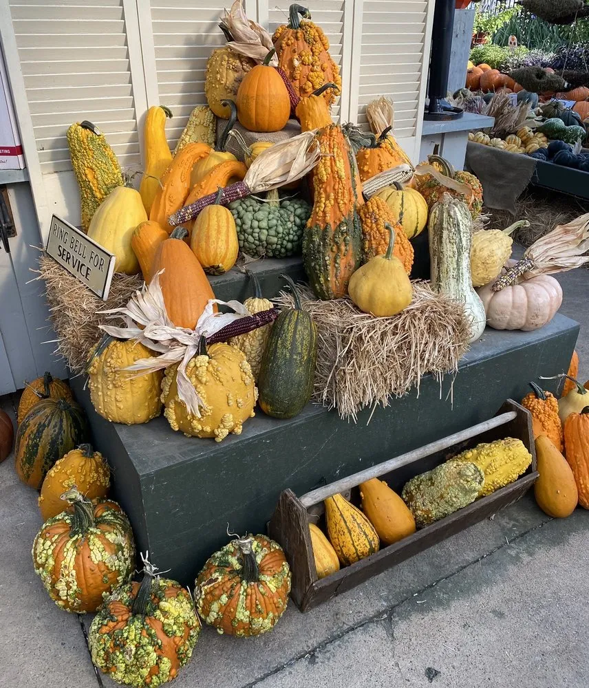 Custom landscape design for beautiful yards across Dallas, TX - Brumley Gardens