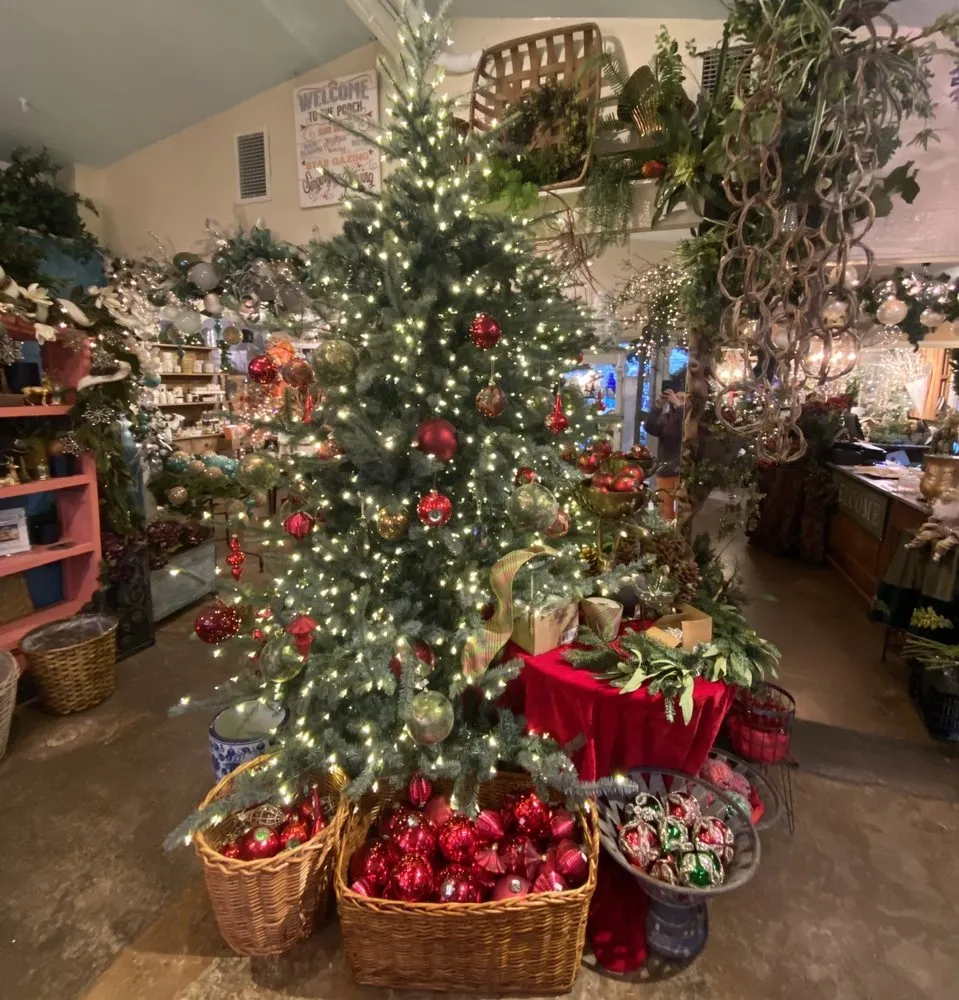 Reliable lawn mowing service experts serving Dallas, TX - Brumley Gardens