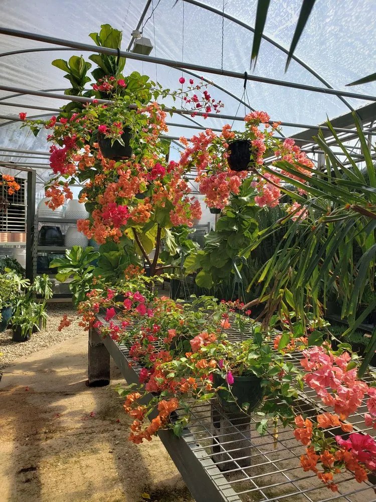 Expert garden landscaping experts serving Dallas, TX - Brumley Gardens