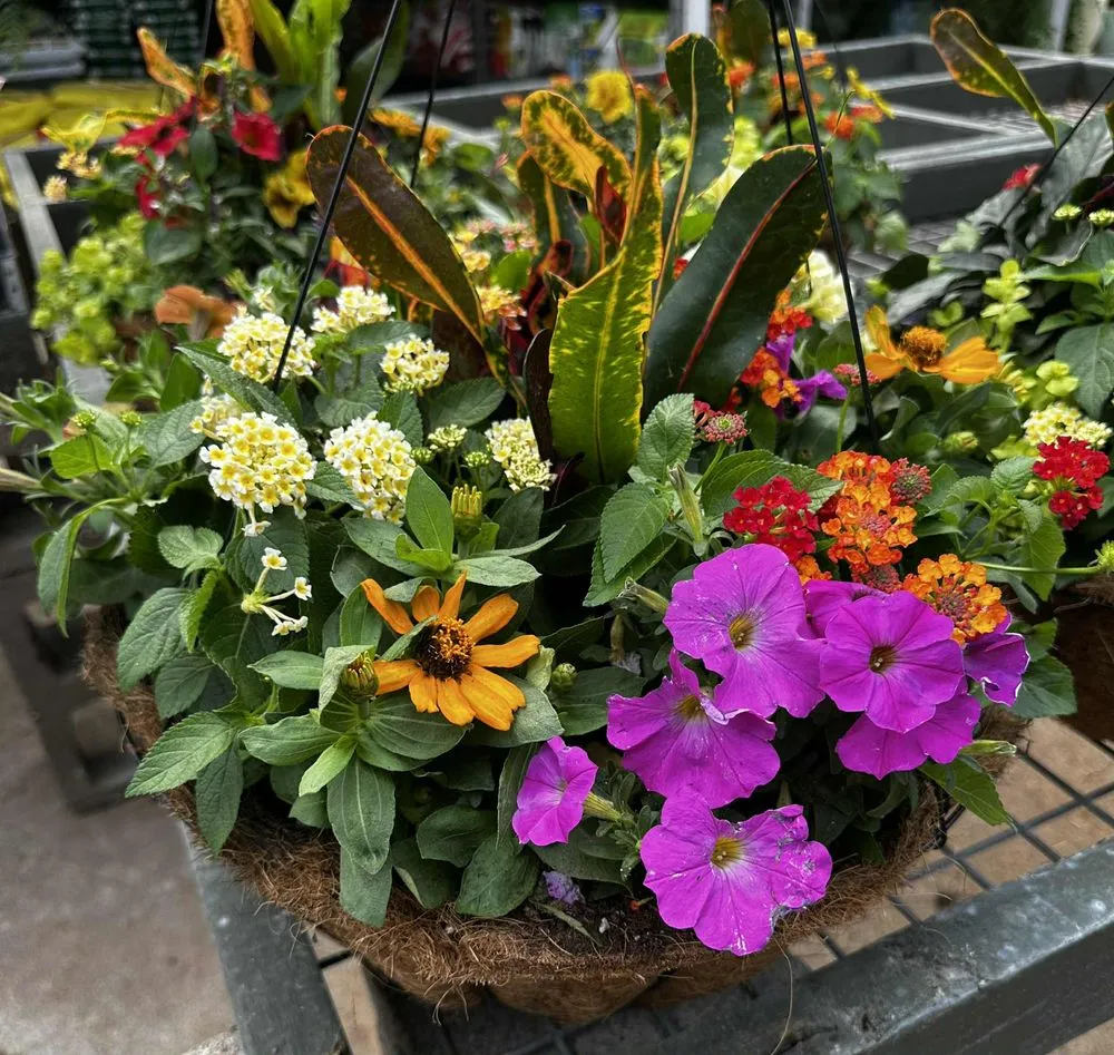 Reliable landscaping services in Dallas, TX by Brumley Gardens