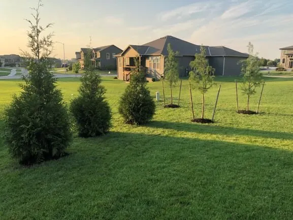 Custom landscaping services for outdoor upgrades across Blue Springs, MO - Brummel Lawn and Landscape