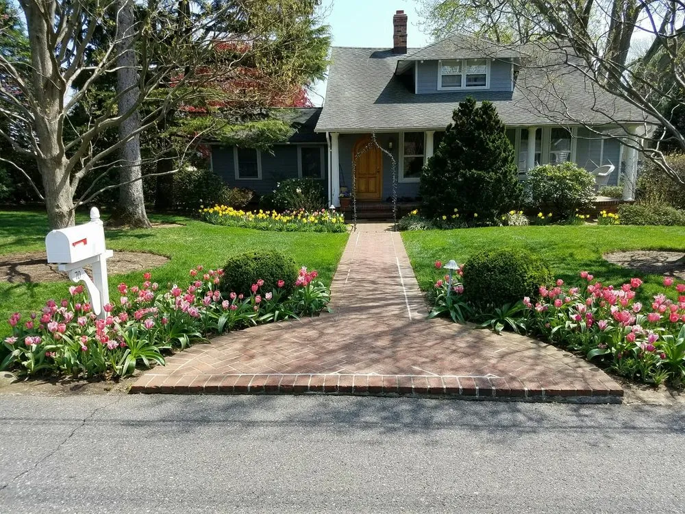 Expert yard maintenance experts serving Oceanport, NJ - Brummer's Tree and Shrub