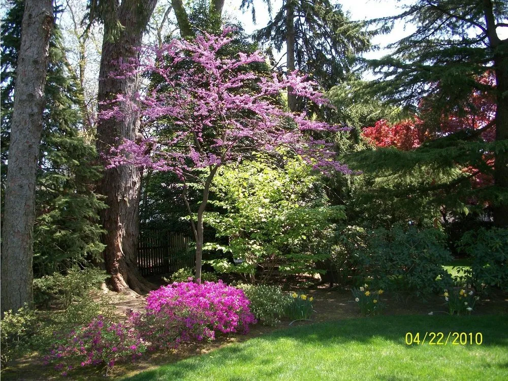Custom lawn care service for residential properties in Oceanport, NJ by Brummer's Tree and Shrub