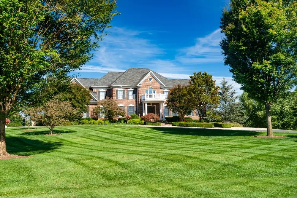 Trusted yard cleanup service in Lapeer, MI - Brunner Lawn & Landscape