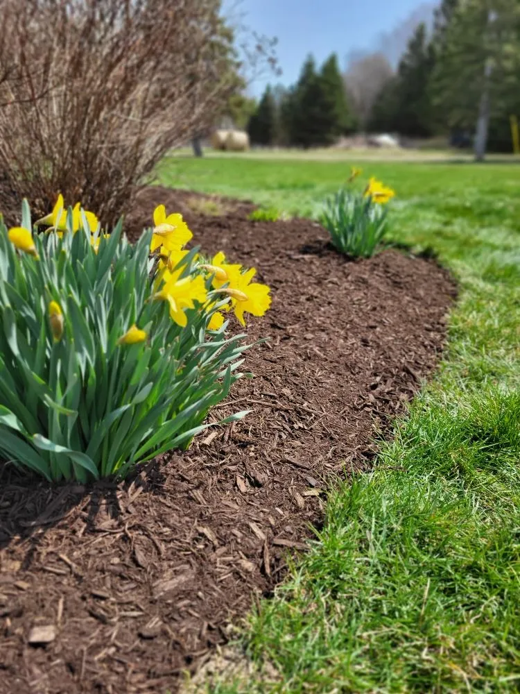 Reliable landscaping services in Lapeer, MI - Brunner Lawn & Landscape