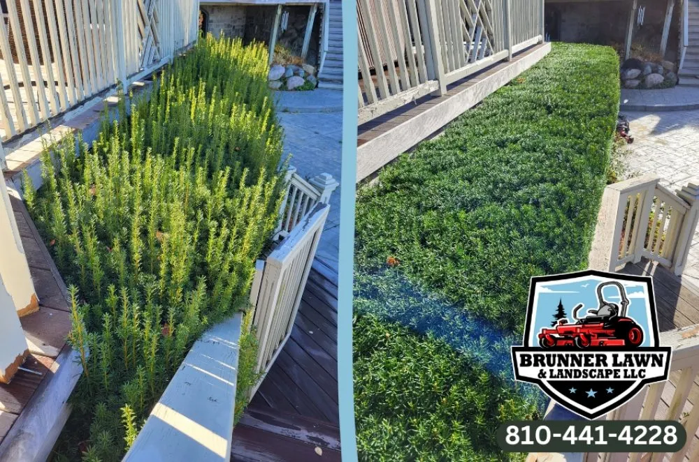 Trusted yard cleanup service in Lapeer, MI - Brunner Lawn & Landscape