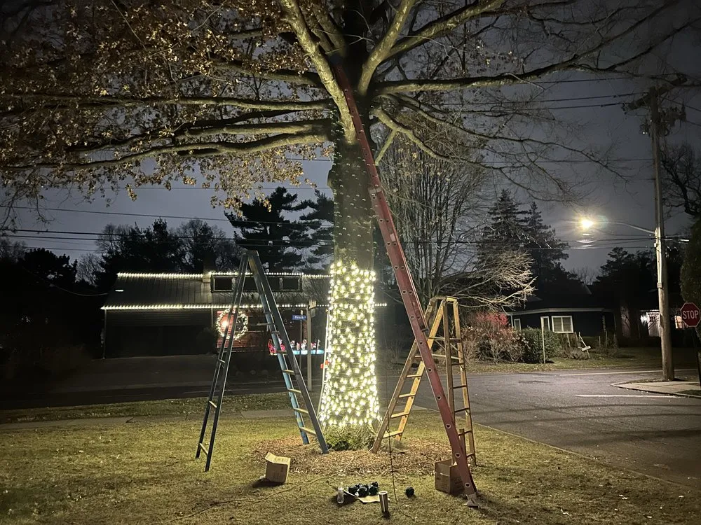 Reliable outdoor landscaping experts serving Shirley, NY - Brunneus & Son