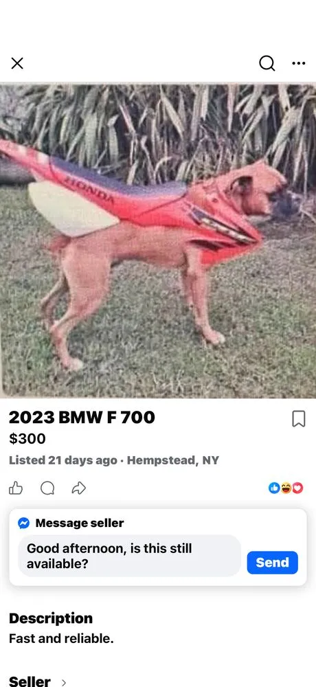 Custom landscaping services for outdoor upgrades in Shirley, NY by Brunneus & Son