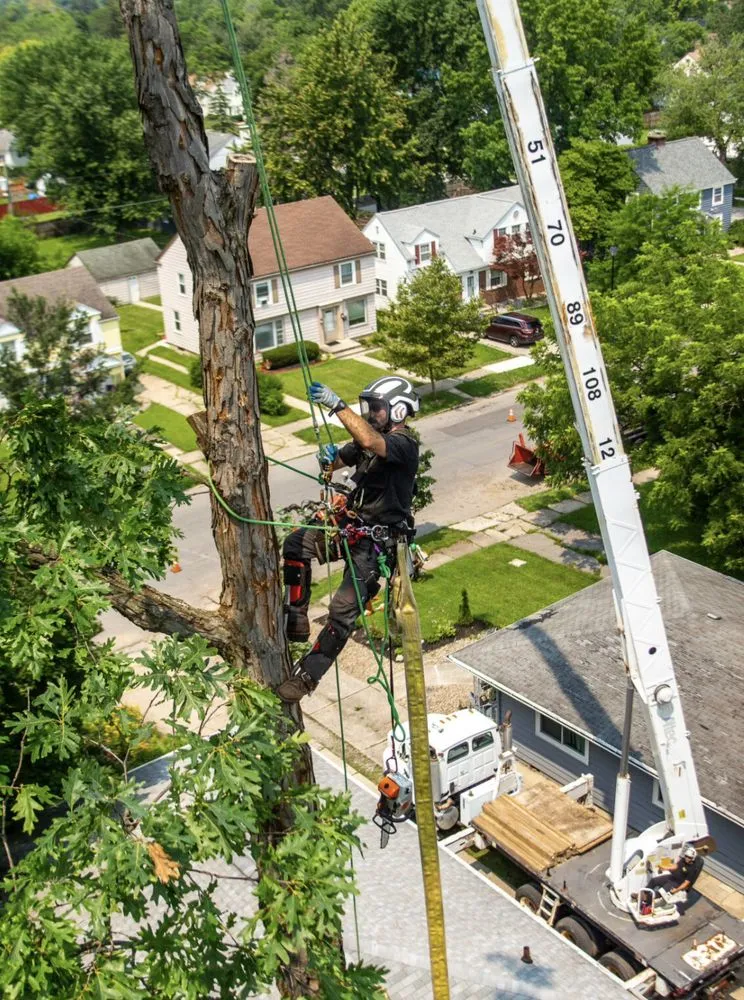 Expert outdoor landscaping in Shirley, NY - Brunneus & Son
