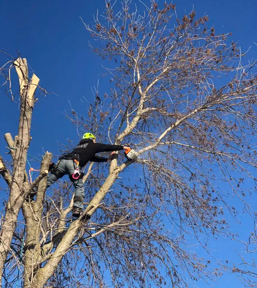 Expert garden landscaping in Shirley, NY - Brunneus & Son