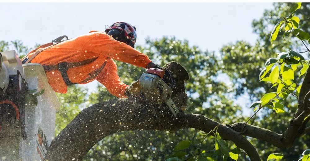 Trusted residential landscaping near you across Shirley, NY - Brunneus & Son