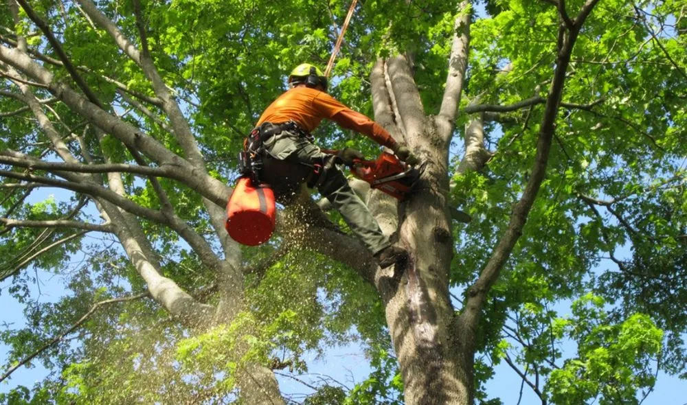 Custom garden landscaping experts serving Shirley, NY - Brunneus & Son