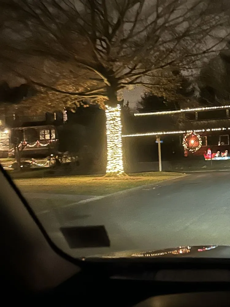 Expert yard maintenance for homes across Shirley, NY - Brunneus & Son