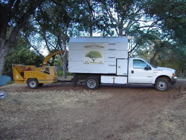 Reliable yard maintenance for year-round maintenance in Newcastle, CA by Bruno Ferazza Tree Service