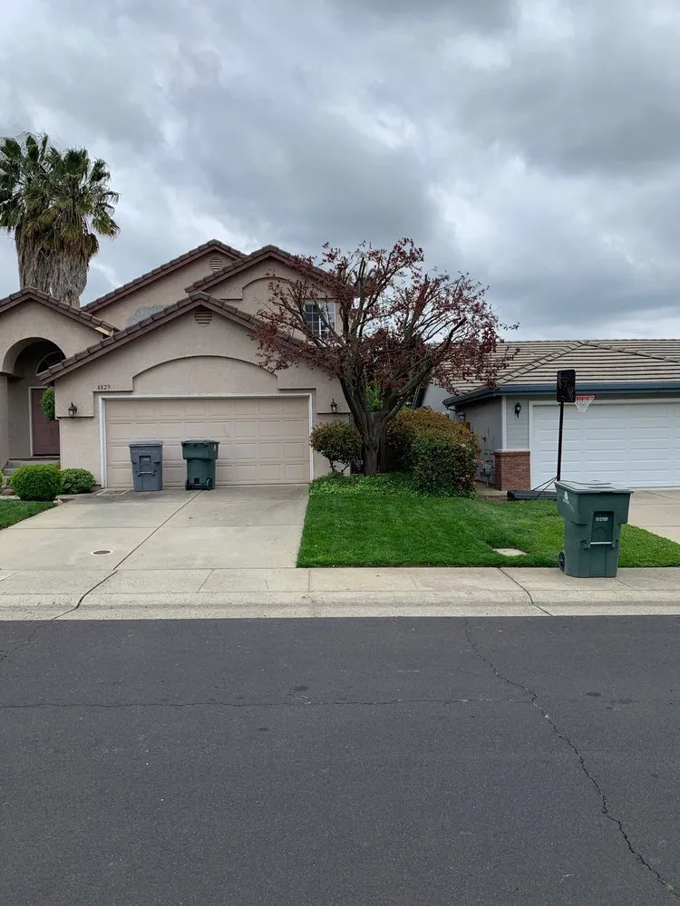 Expert garden landscaping with custom design in Newcastle, CA by Bruno Ferazza Tree Service