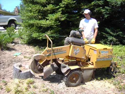 Custom residential landscaping for beautiful yards across Newcastle, CA - Bruno Ferazza Tree Service